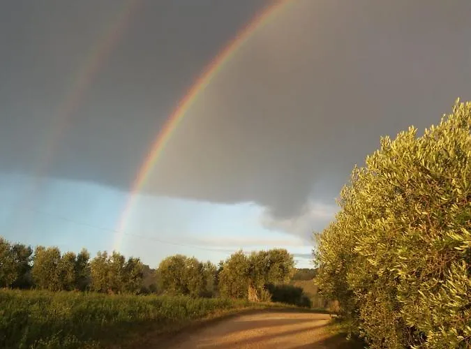 팜스테이 Le Rondini *